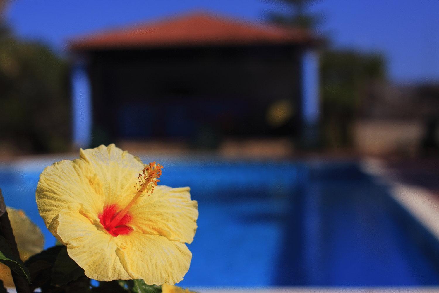 Hotel L'Ulivo จิราโซเล ภายนอก รูปภาพ